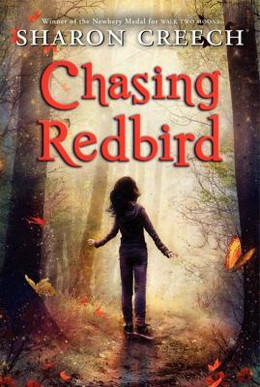 Chasing Redbird B3123