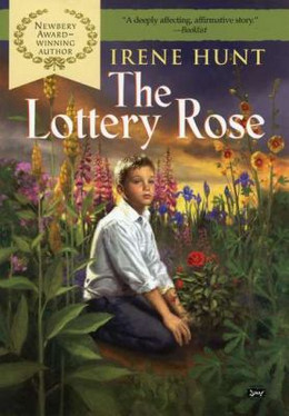 Lottery Rose B0066