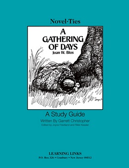 Gathering of Days: A New England Girl's Journal (Novel-Tie) S0629