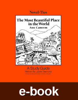 Most Beautiful Place in the World (Novel-Tie eBook) EB0299